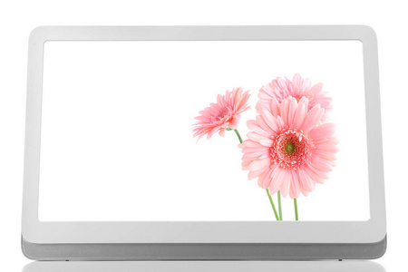 计算机显示屏幕上美丽的鲜花