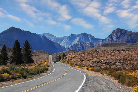 马路转弯箭头图片大全