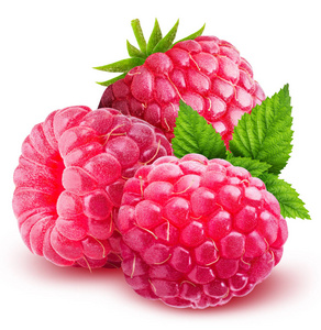 孤立的树莓图片-孤立的树莓素材-孤立的树莓插画-摄图新视界