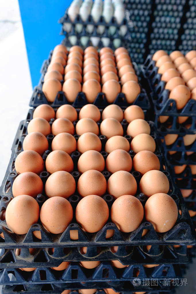 鸡蛋从母鸡农场出售保存包中
