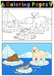 北极动物为着色书