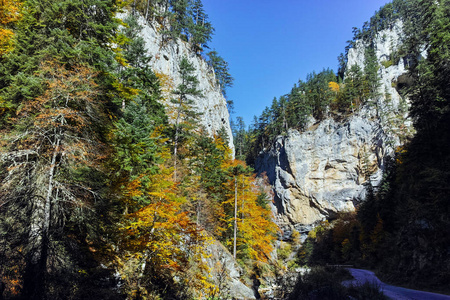 Buynovsko 峡谷，罗多彼山脉的秋天全景