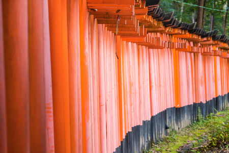 红托里门在伏见 inari 神社在京都，日本