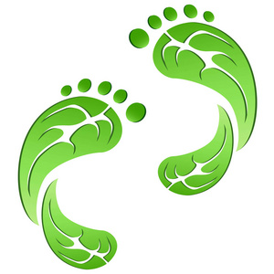 绿色的叶子碳生态足迹照片