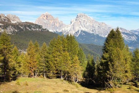 落叶松木材和 Le Tofane 集团，Dolomiti，意大利