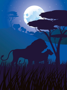 非洲夜与狮子