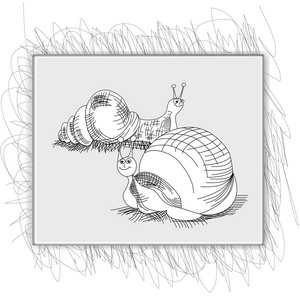 蜗牛素描