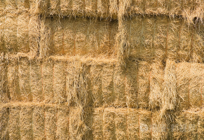 合上黄色干草包