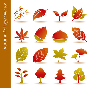 秋季树叶图标