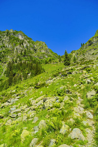 美丽的山景观在喀尔巴阡山