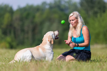 成熟的女人和一只拉布拉多犬在户外玩