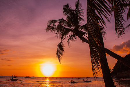 在日落时的热带景观。在天空背景上的棕榈树。白色的沙滩。长滩岛。菲律宾
