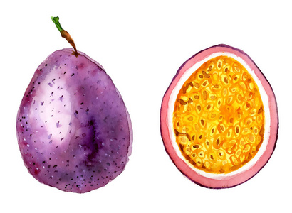 百香果水彩图片