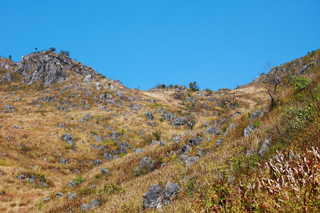 大罗克山