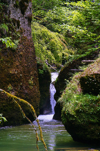 水景，海景，水景画