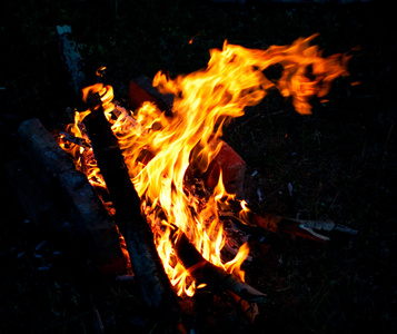 寓意木生火的图片图片