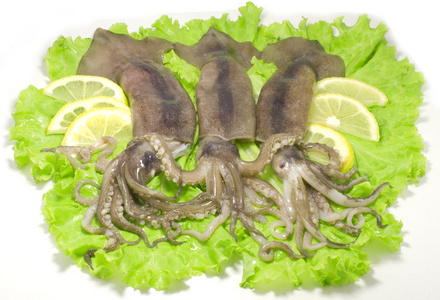 乌贼,墨鱼( squid的名词复数 ) 鱿鱼照片