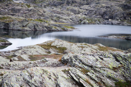 在挪威的五彩山场面。挪威，斯堪的那维亚的亮丽的风景线。挪威山风景