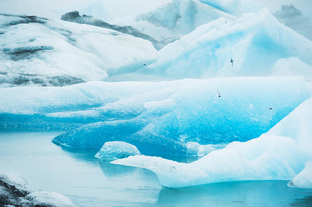 在 Jokulsarlon 冰川泻湖，冰岛的蓝色冰山