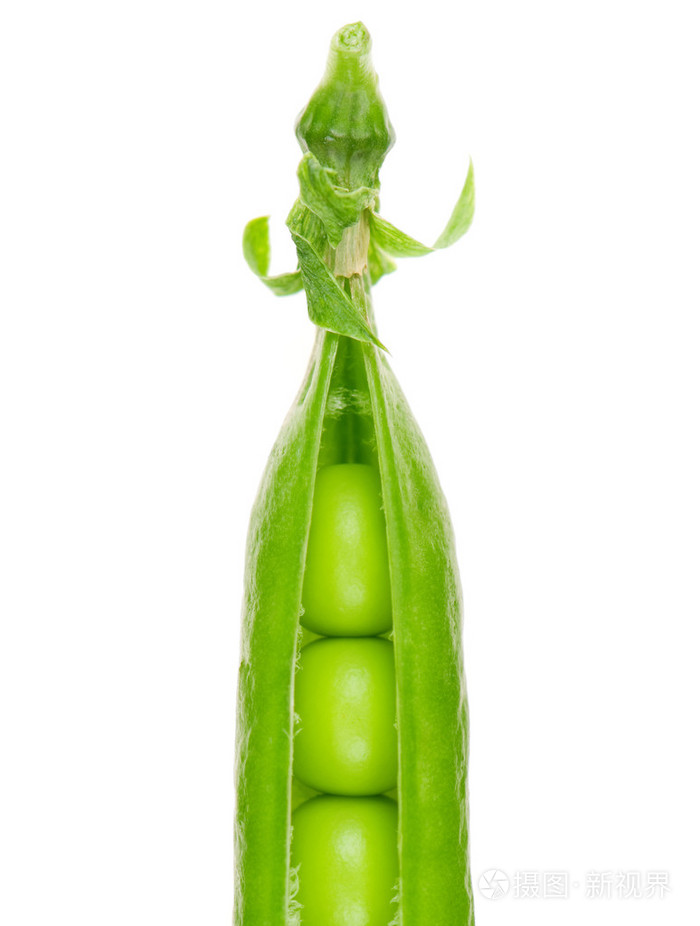 豌豆荚