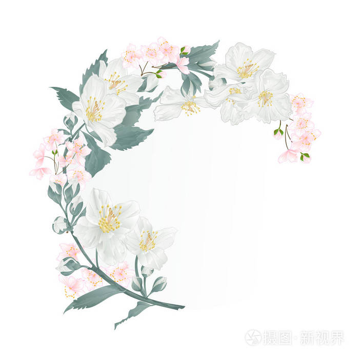 茉莉花和芽的老式喜庆背景矢量花卉圆架插画-正版商用图片01g4um-摄图