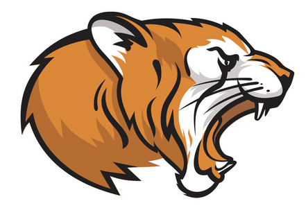 咆哮的老虎图片