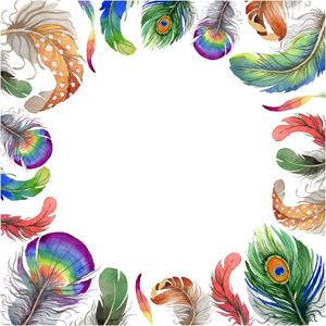 从翼矢量鸟羽毛相框照片