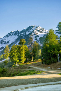 夏天在山间的道路。罗莎  德鲁日阿德勒