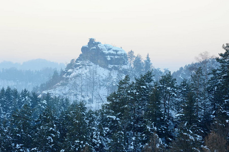 与雪的冬季全景