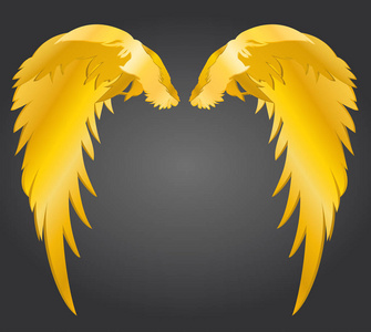 翅膀.矢量图在灰色的背景上.金色的金属表面照片