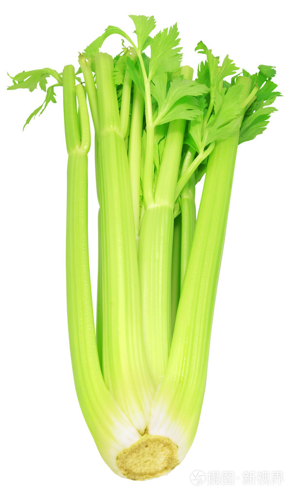 芹菜香芹粉芹菜籽