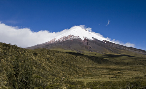 科多帕希火山在厄瓜多尔北部