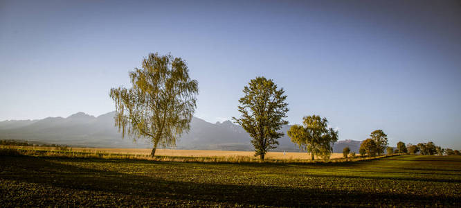 用美丽的斯洛伐克风景的塔特拉山在背景中