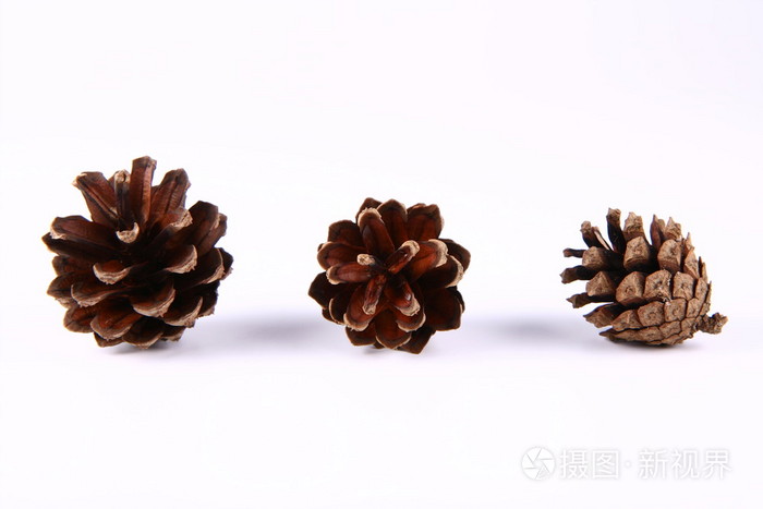 松果pinecone的复数