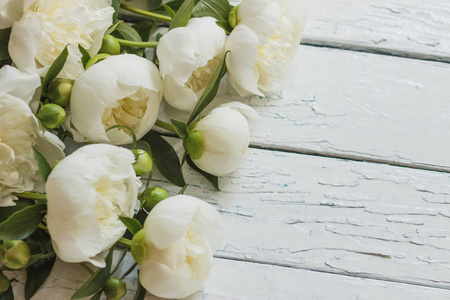 在老白的木板上的白牡丹的花束