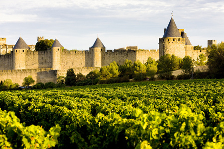 Carcassonne Languedoc Roussillon法国