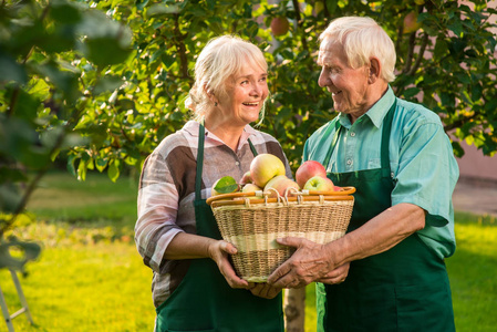 老夫妇牵着苹果篮子