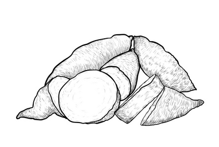 山药矢量图片-山药矢量素材-山药矢量插画-摄图新视界