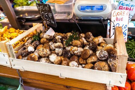 蘑菇意大利牛肝菌的市场上。秋季 Cep 蘑菇