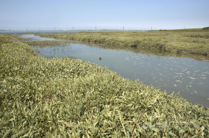 (江河入海的)河口,河口湾 港湾