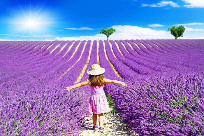 一个小女孩走在普罗旺斯薰衣草字段之间