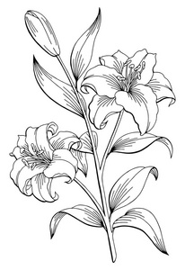 花卉图形图片-花卉图形素材-花卉图形插画-摄图新视界