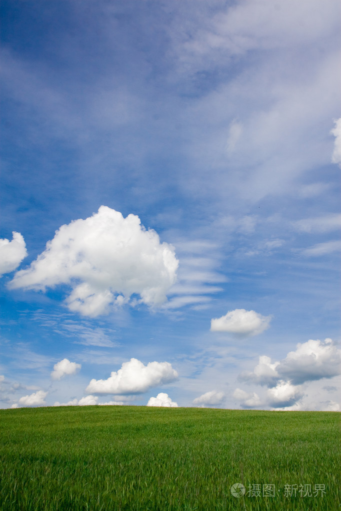 绿色领域与蓝蓝的天空和洁白的云朵
