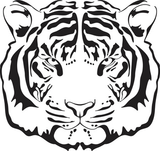 老虎头的轮廓.照片