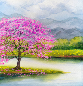 水彩风景.湖边的粉红树开花照片