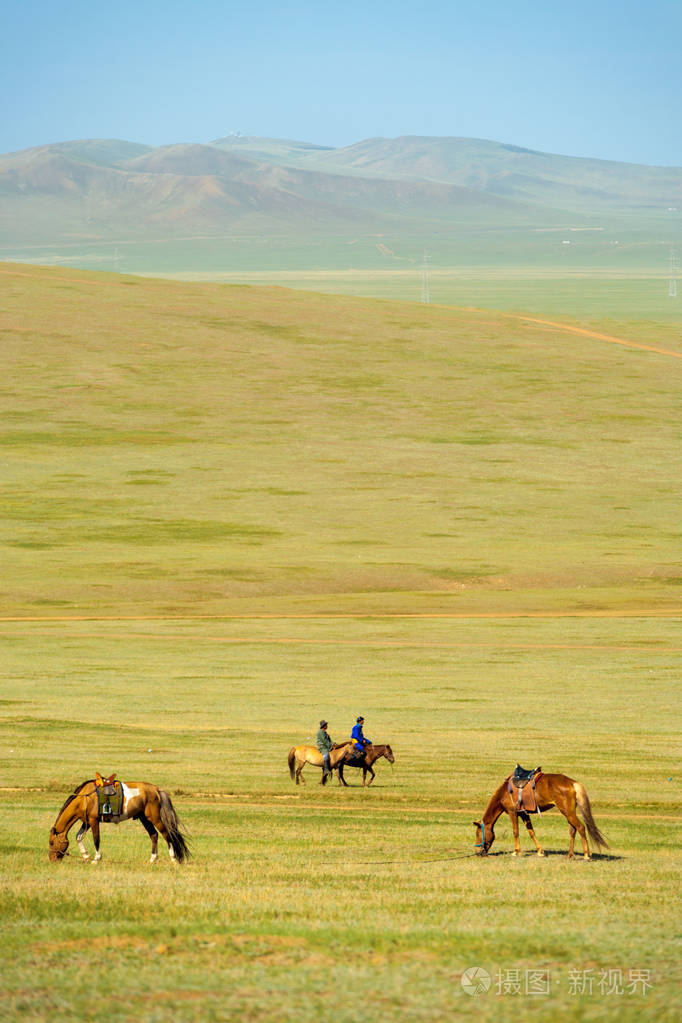 马放牧草地蒙古草原