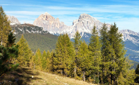 落叶松木材和 Le Tofane 集团，Dolomiti，意大利