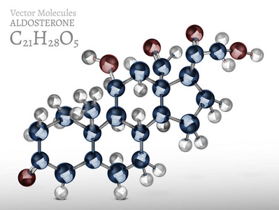 醛固酮分子图像