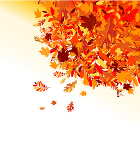 秋天的树叶背景为您的设计