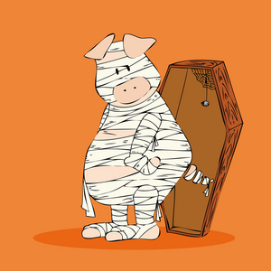 木乃伊棺材图片